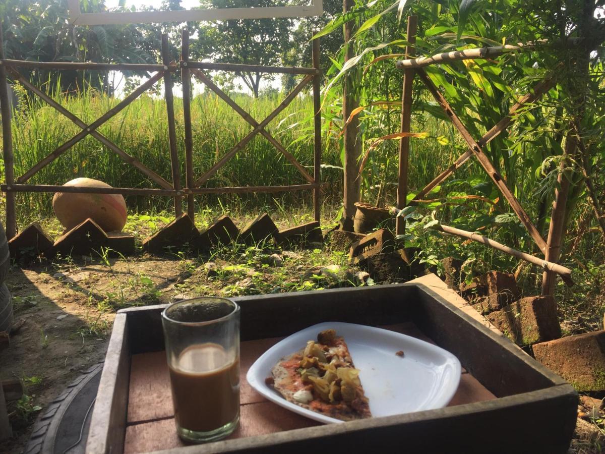 Sun N Soil Backpacker HostelLachhiwala エクステリア 写真